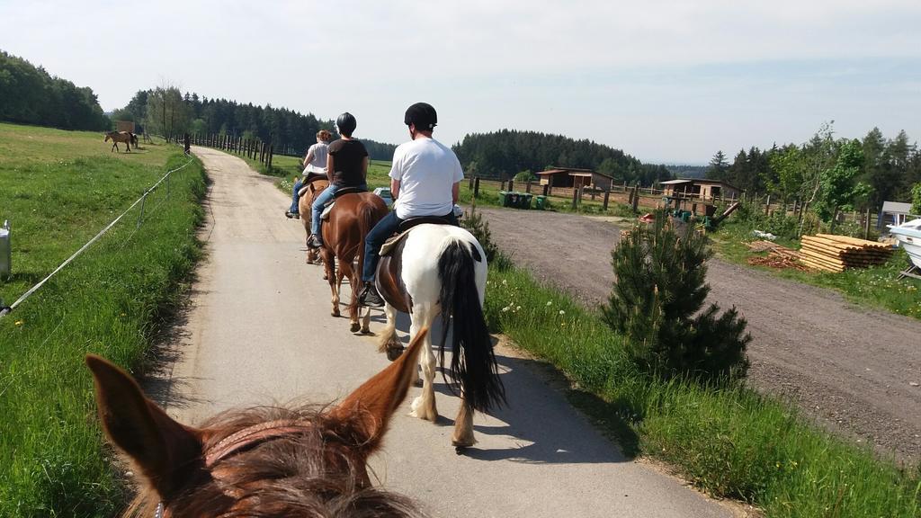 Q Ranch Bezdekov (Jihlava)