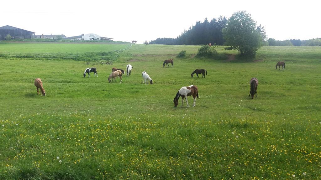 Q Ranch Bezdekov (Jihlava)